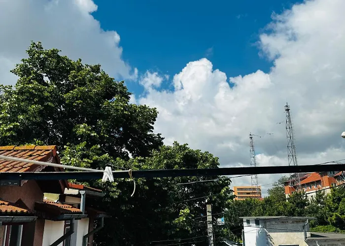 Dxn 9 By Center كونستانتا